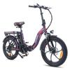 Electric Bike FAFREES 20" 250W Motor Top Speed 25km/h 36V 18AH Max Range 150Km Load 150Kg F20 Pro