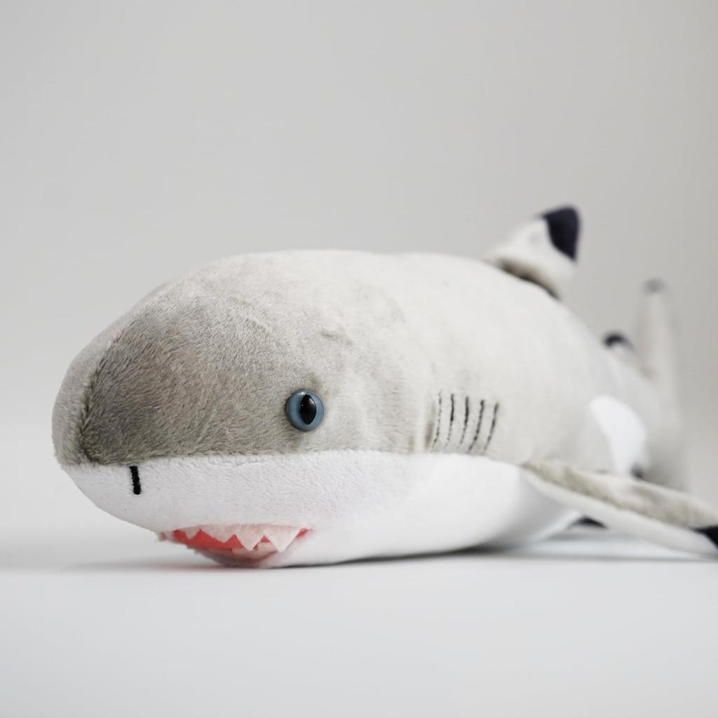 TST Advance Aufregender illustrierter Führer Schwarzspitzen-Riffhai 10107 Gesamtlänge ca. 16cm