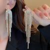 Luxury Zircon Tassel Silver Earrings – High-End European & American Fashion for Women
