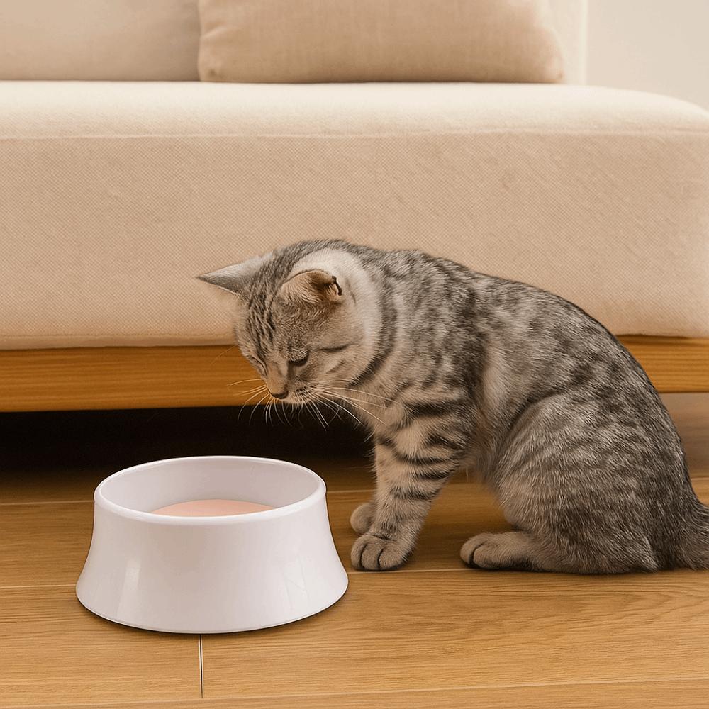 Spill Proof Pet Water Dispenser Large Capacity Dog Drinking Bowl Cat Water Fountain for Home