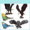 Wilder Eule PVC Vogelmodell Mit Realistischem Design Für Heimdekoration Und Pädagogische Nutzung