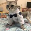 Hochzeitsgesellschaft Männliches Haustier Smoking Anzug Sphynx Katze Kleidung für Katzen Gotas mascotas Kostüm Katten Kedi Hemden Reunion Hundebekleidung