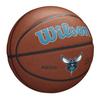 Wilson Team Alliance Charlotte Hornets Basketball