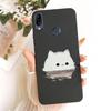 Phone Case For ASUS Zenfone Max M1 M2 Pro ZB602KL ZB601KL ZB555KL ZB556KL ZB631KL ZB633KL Funda Soft Silicone Painting Cover