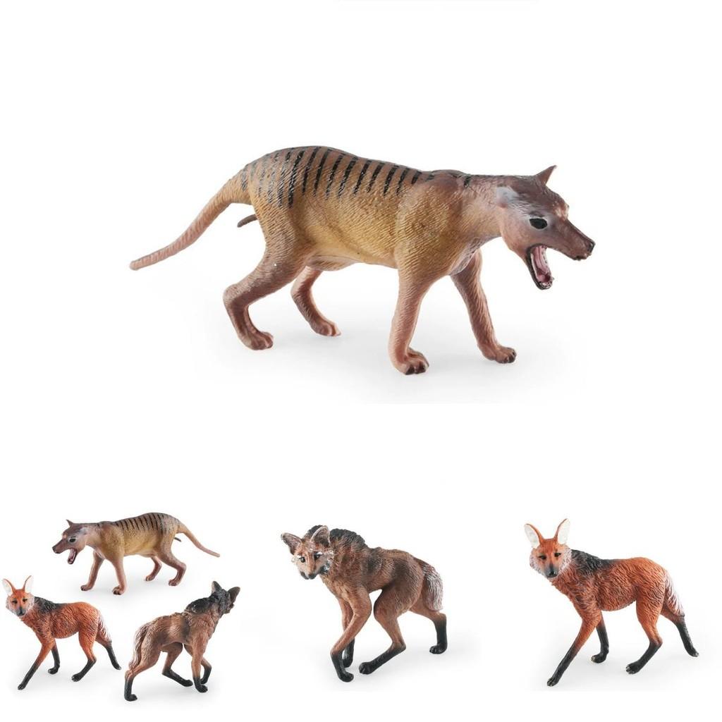 Realistic Wolf Sculpture With Plastic Construction For Classroom Teaching And Kids Play