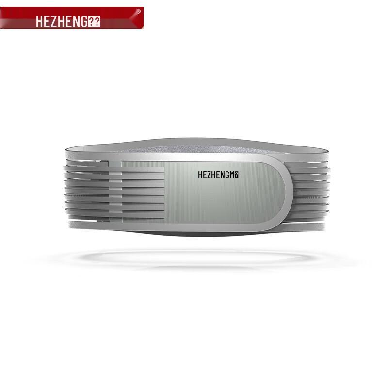 Professional Lumbar Support Belt