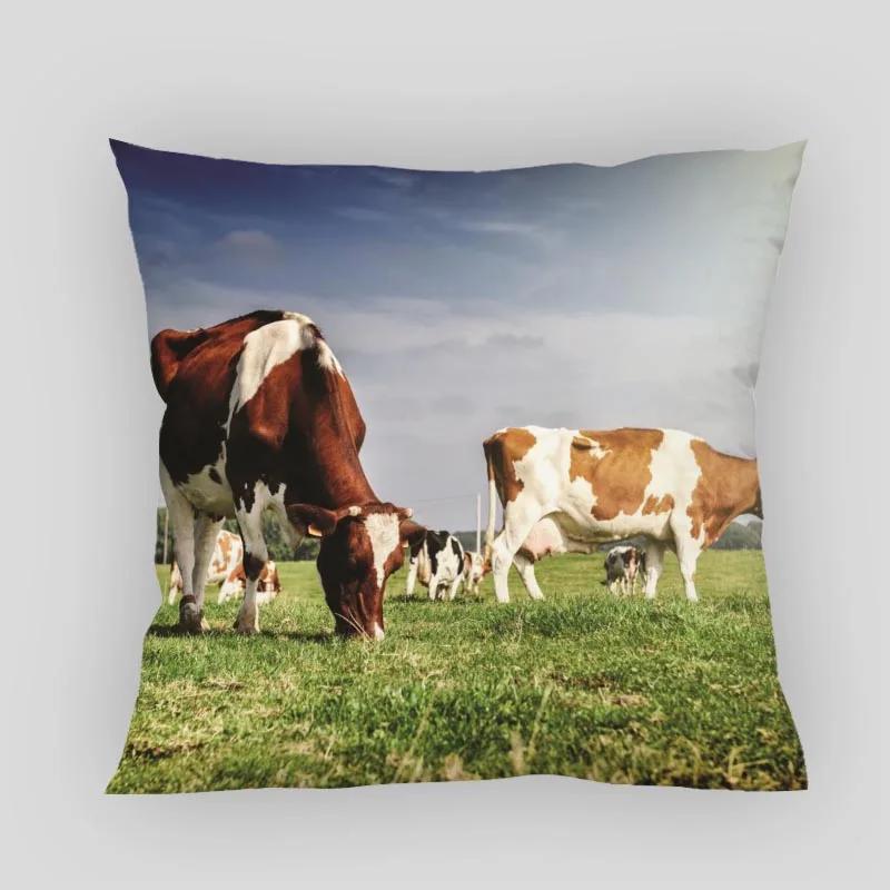 Animals Cow Pillow Cover Customize Pillowcase Modern Home Decorative Pillow Case For Living Room 45X45cm,40X40cm