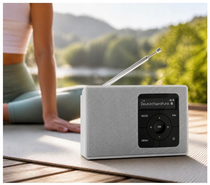 DAB+, FM TechniSat DIGITRADIO 2 mains-powered/battery-powered radio