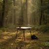 Lightweight Folding Camping Table with Carrying Bag Aluminum Camp