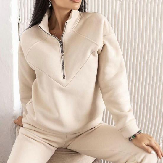 2 Stück/Set Herbst Sweatshirt Hosen Set Locker Warm Stehkragen Elastischer Bund