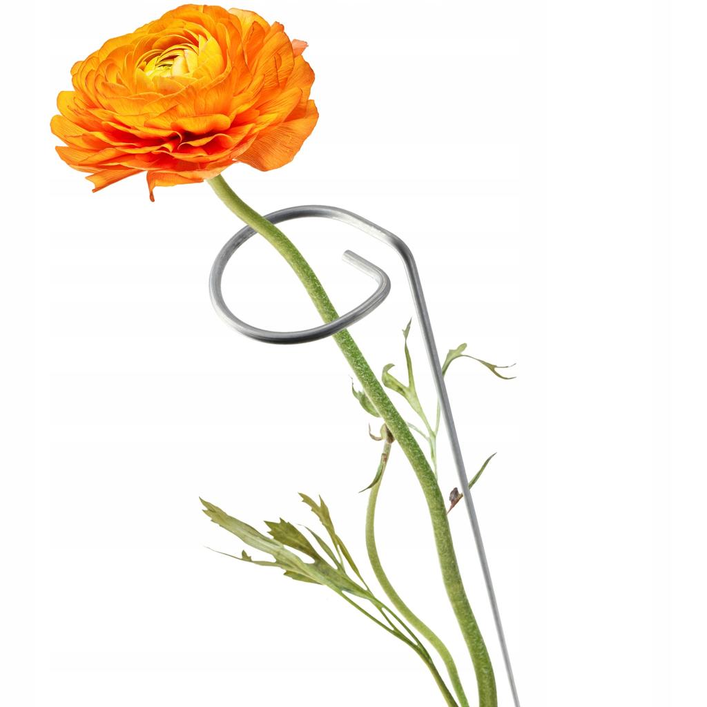 KADAX Stütze Ständer Für Pflanzen Blumen Rosen Stahl