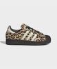 Superstar Ii - Leopard:Ivory:Black / Ki4203
