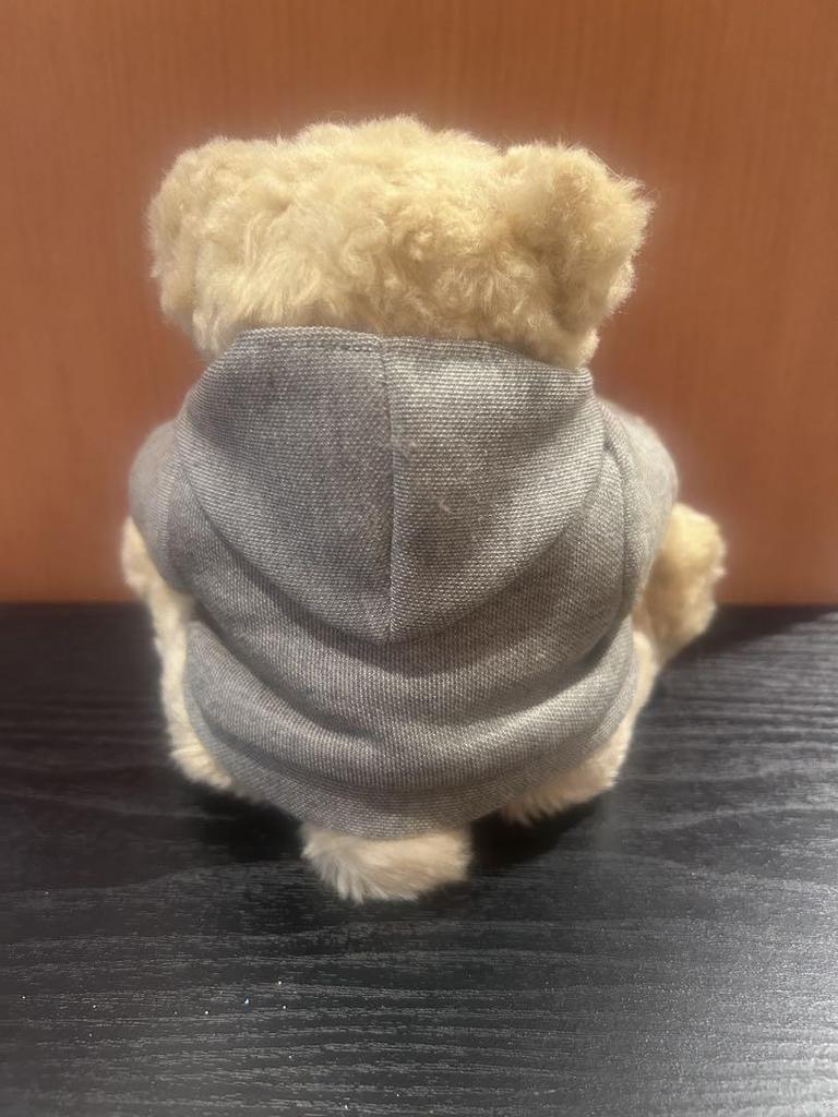 [USED] shaly bear teddy bear detachable hoodie