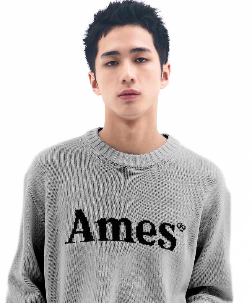 AMES-WORLDWIDE Basic Pullover Knit Gray
