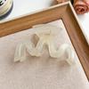 Exquisite Acrylic Claw Clip for Thick Hair - Large High-End Shark Hairpin