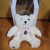 [USED] Teddy bear - Volkswagen original novelty item