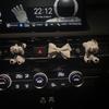 Cura dell'auto – Deodoranti per auto