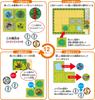 HANAYAMA Toy Awards 2023 Communication Toy Category Excellence TAKUMI ZOO Board Game 267mm X 191mm X 43mm Board Game Made by Elementary School