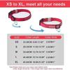 Dog Collar - MELERIO - Size S - Waterproof - Rechargeable - Super Bright