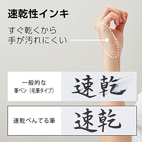 Pentel Brush Pen, Quick Drying, Medium Nib, 10 Pens, XFPD5L