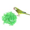 100 Pièces Anneaux de Patte d'Oiseau Poulet Anneaux de Patte d'Identification Dinde Anneaux de Patte de Volailles Clip pour Pigeons Oiseaux 10mm 6XDE