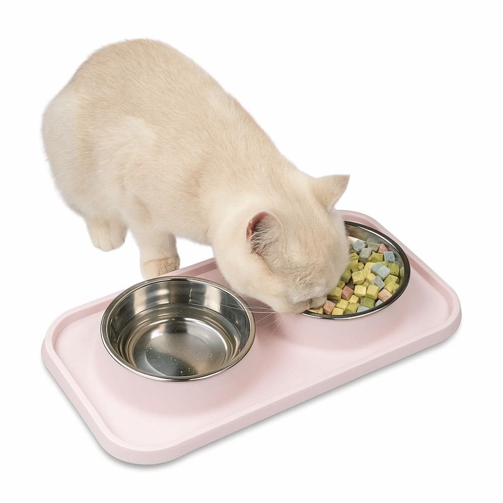 Non-Slip Mat Pet Bowls Stainless Steel Pet Feeder Basin Creative Dog Cat Food Bowl  Water Dish