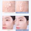 Espoir Easy Blending Concealer 10g