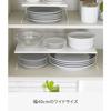 Yamazaki Dish Rack, Dish Storage Plate, Large, White, 2960