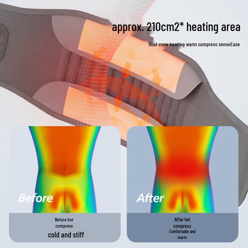 Philips Lumbar Massager with Heat and Air Support