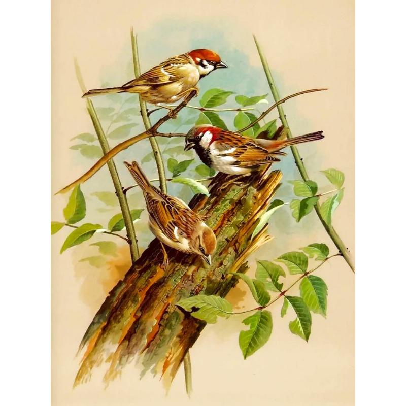 Canvas paintings, animals, birds, home decor, gift craftsmanship, living room, bedroom, wall decoration