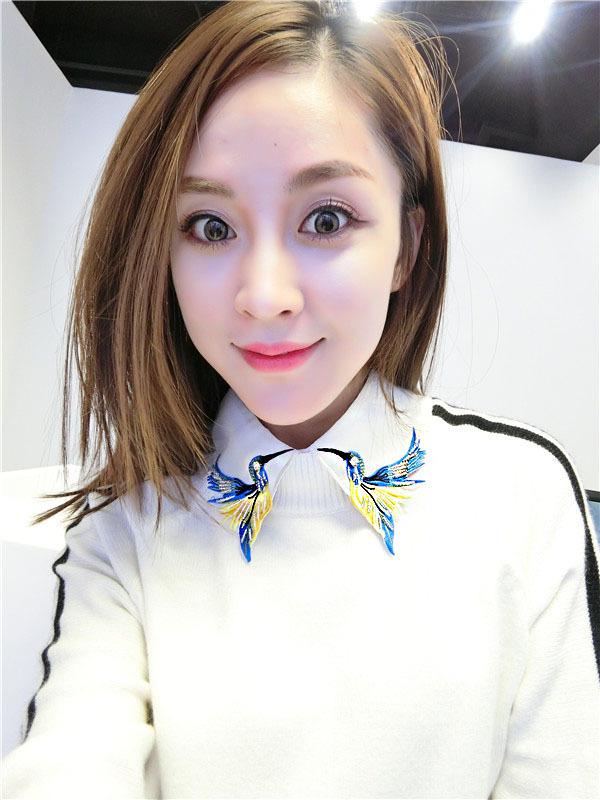 Korean Autumn Embroidered Flying Bird False Collar