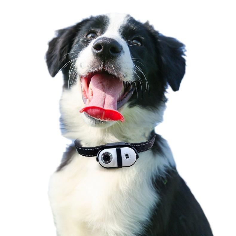 Adjustable Angle Pet Vlog Camera for Cats & Dogs