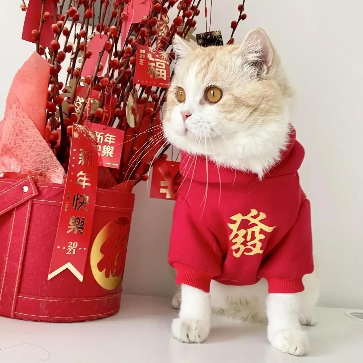 

Chinese New Year Dog Clothes Hoodie Winter Pet Coat Cat Puppy Schnauzer Golden Retriever Poodle Husky Dog Costume Gongxifacai S(1.5-2.5 kg)