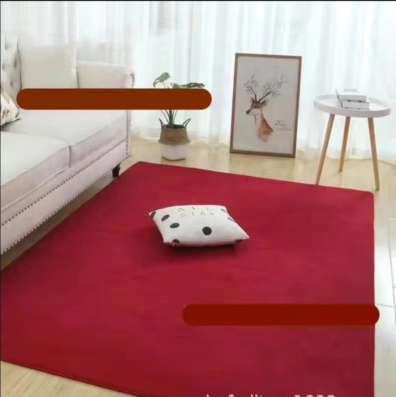 Modern, Simple and High-end Coral Velvet Carpet, Living Room Sofa, Bedroom Bed, Anti-stain Carpet, Home Decoration