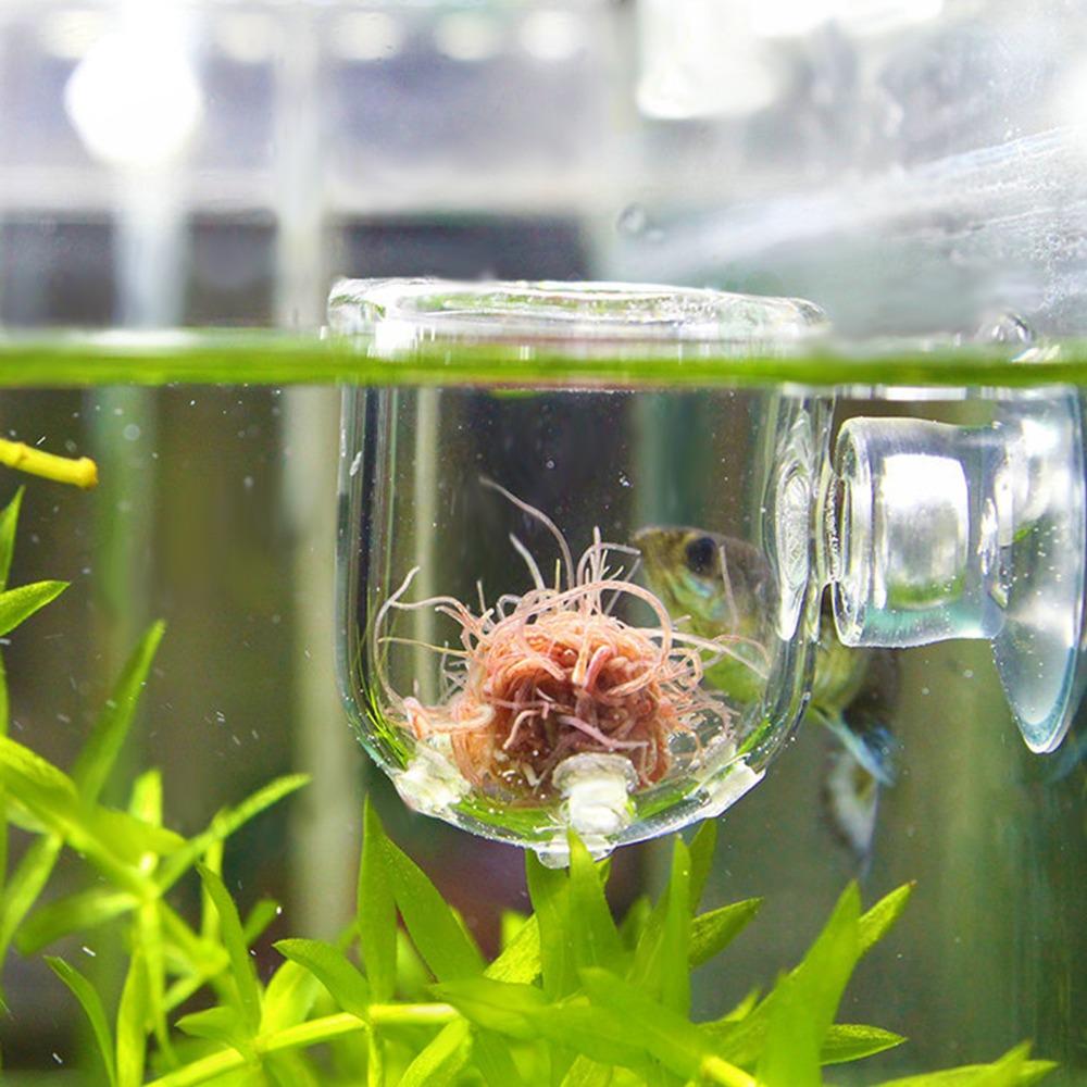 Suction Cup Aquarium Worm Feeder Glass Fish Feeding Cup Accessory Aquarium Feeding Cup  Aquarium