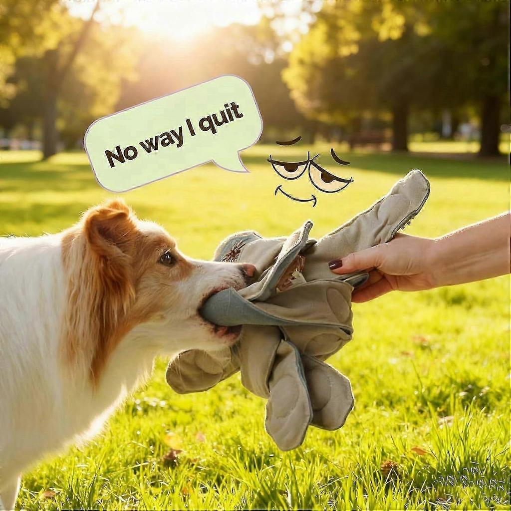 The Dog Toy That Outsmarts Boredom, Indestructible Dog Chew Teething Toys, Keep Them Busy, Squeaky No Stuffing Pet Supplies for Small Medium Large Bre