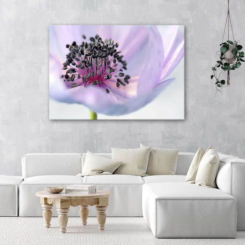 Canvas print Purple Flower Nature Macro