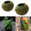 Decorațiuni pentru casă – Ghivece de flori decorative