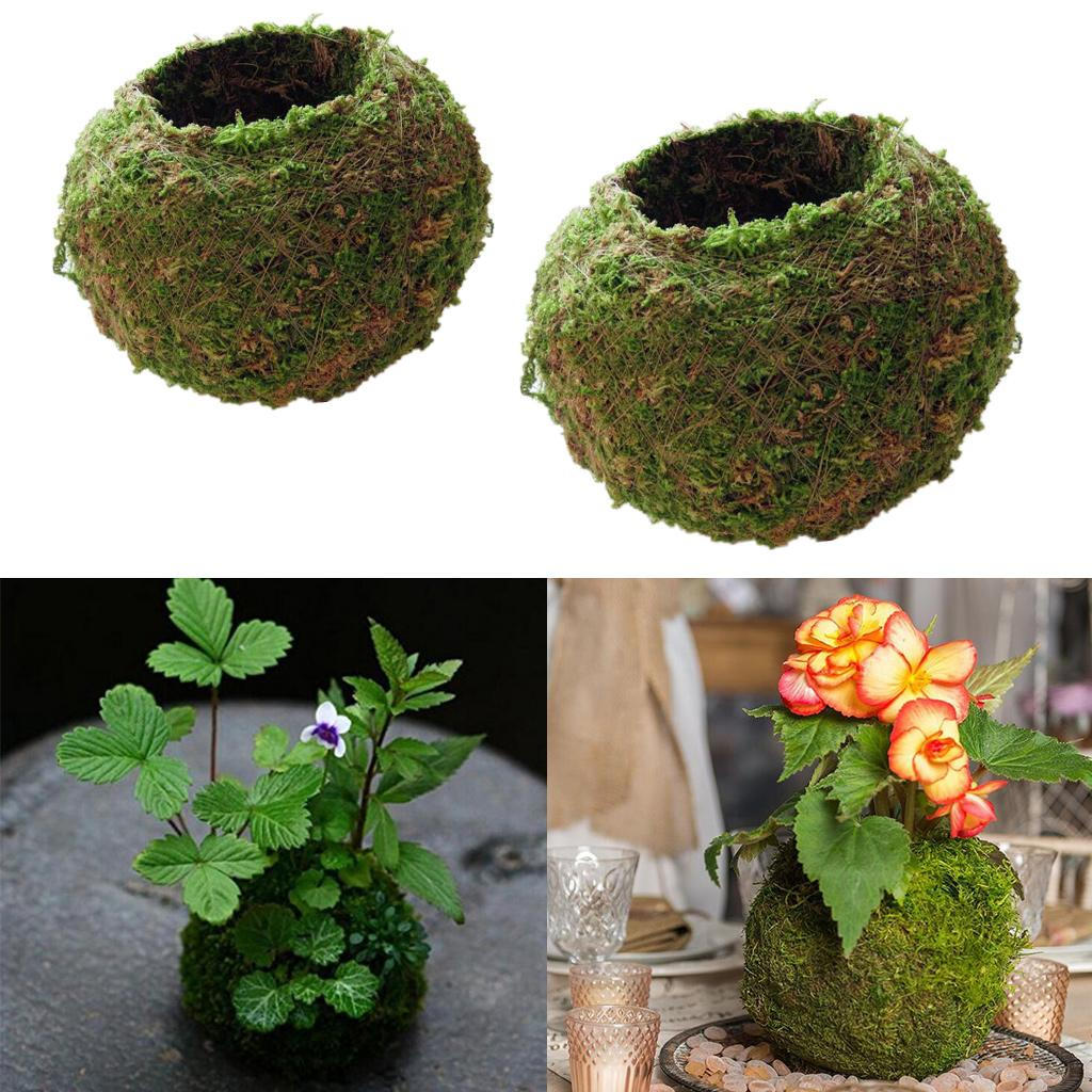 

Шар Цветочный Горшок Кашпо Бонсай Подставка для Растений Дом 9см и 12см