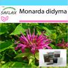 Gift Set - Bergamot / Oswego Tea - 20 Seeds - With Gift Box, Card, Label and Potting Substrate - Monarda Didyma