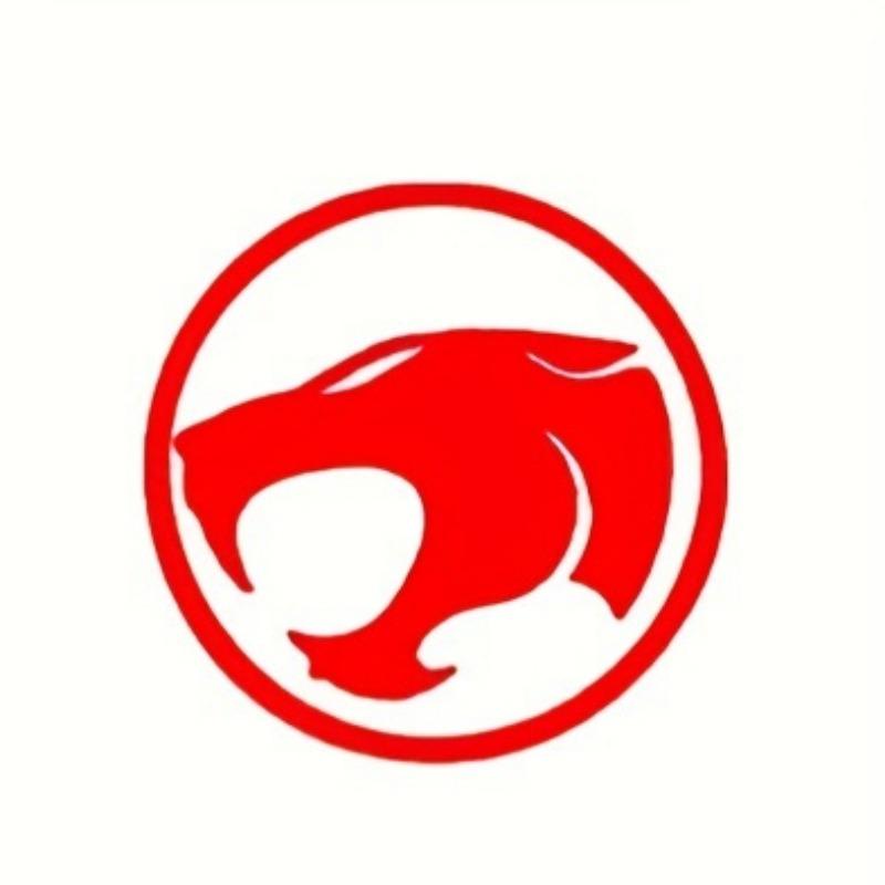 

1pc Thunder Cats Vinyl Decal Self-adhesive Sticker Car Sticker DIY Motorcycle Fender Fuel Tank Waterproof Vinyl Decals 13x13CM