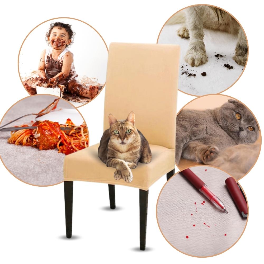 Chair covers set of 6, elastic, universal, light beige