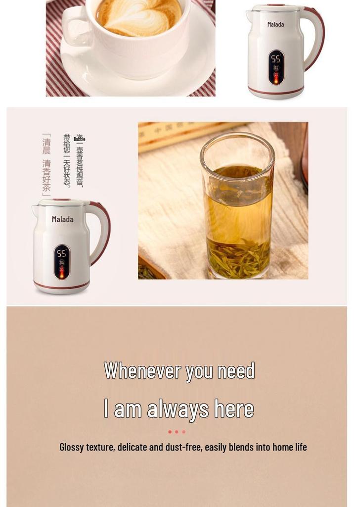 Stainless Steel Electric Kettle with Boil & Keep-Warm Functions, Large Capacity, Baby & Pregnancy Safe, Boil & Constant Temperature Pot