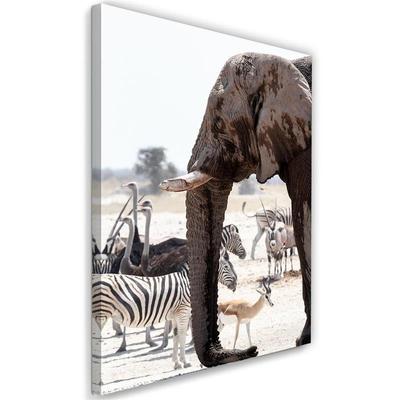 Canvas Print Elephant Africa Animals Nature