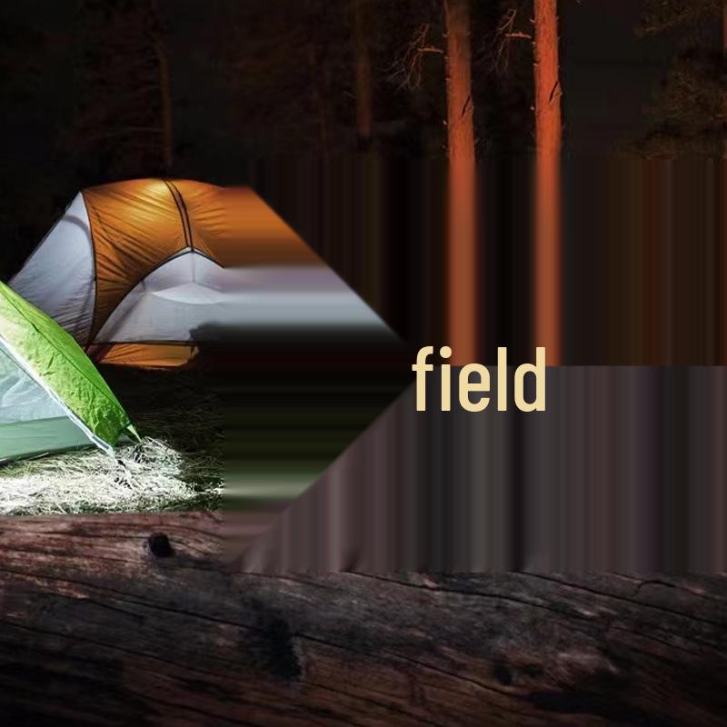 Portable Solar Camping Light & Power Bank