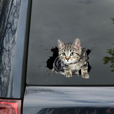 Hot! Funny Car  Sticker Body Dog Cat Puppy Scratch Paint Subsidies Cartoon Simulation Door Body Decal