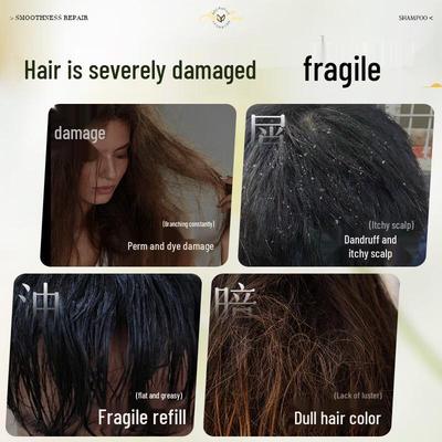 Xixia Chenguang Keratin Glättendes Volumengebendes Shampoo