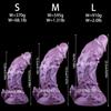 Plug Anale Extra Lungo in Silicone Dildo Giocattolo Sessuale Masturbatore per Uomini e Donne Strap-on Pene Pene Realistico BDSM