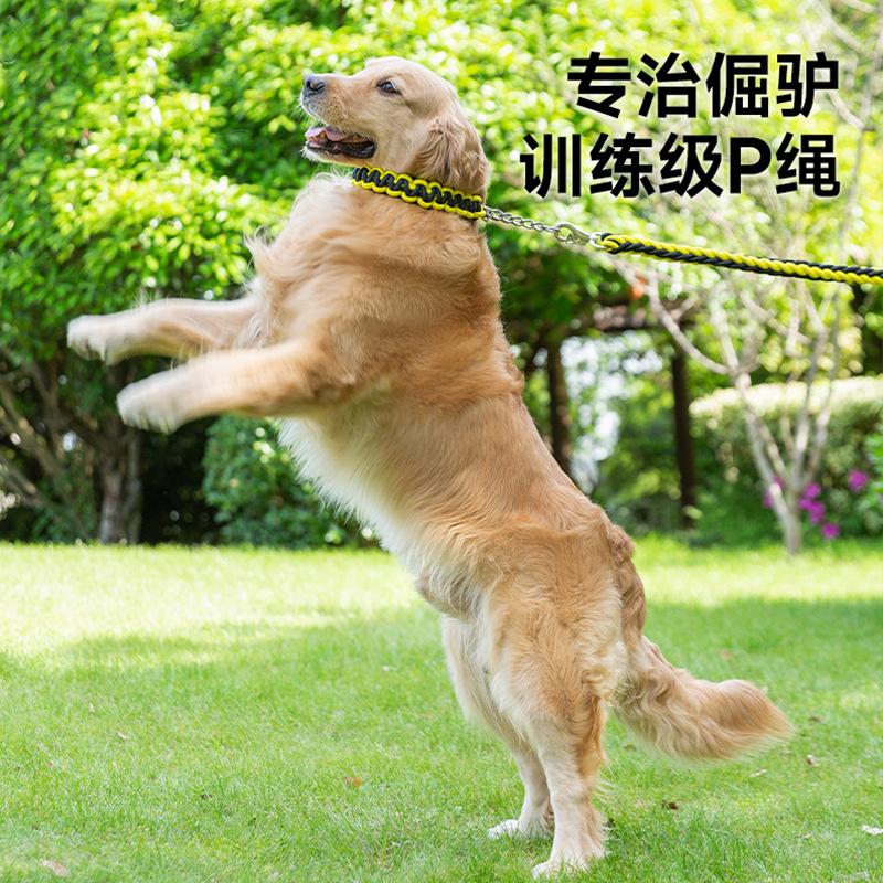 Mittelgroße und große Hunde Farbige achtsträngig geflochtene Zugleine Golden Retriever Labrador Ausgehen Zugleine Großer Hund Heimtierbedarf