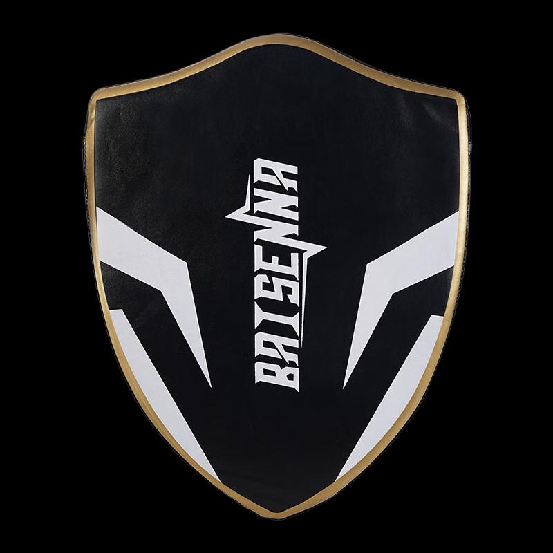 Long Chan Taekwondo Training Target